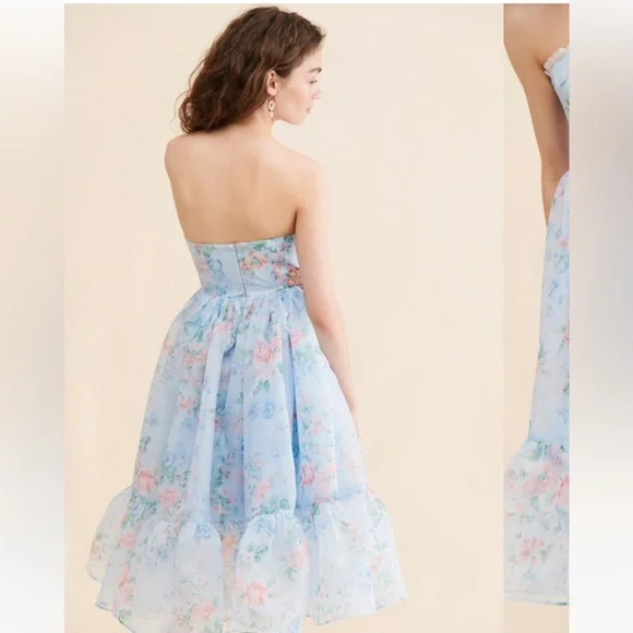 FREE PEOPLE Selkie French Corset Puff MIDI Dress Powder Blue Floral - Picture 3 of 9